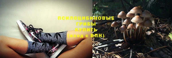 прущие грибы Карталы
