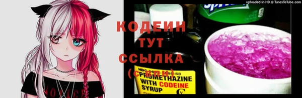 прущие грибы Карталы