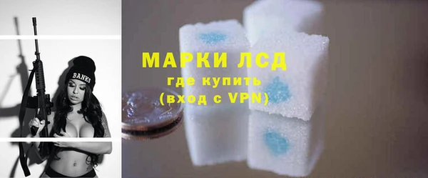 прущие грибы Карталы