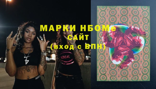 прущие грибы Карталы