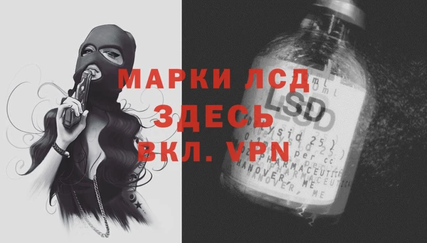 прущие грибы Карталы