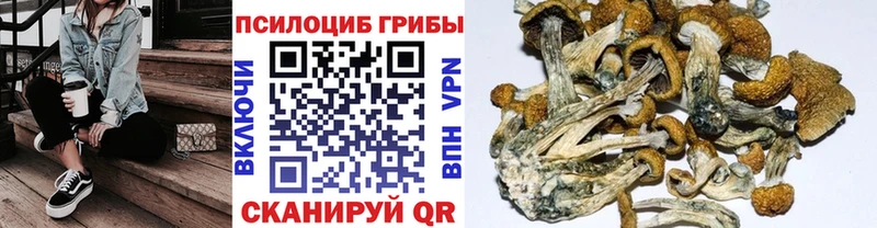 Псилоцибиновые грибы Magic Shrooms  Купить где  Верхний Уфалей 